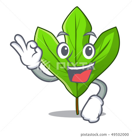 Okay sassafras leaf in the cartoon stem Okay sassafras leaf in the cartoon stem 49502000