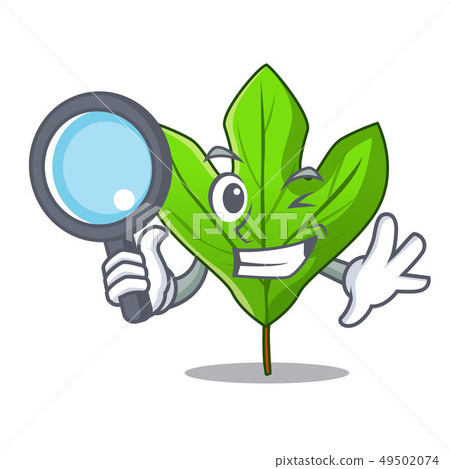 Detective sassafras leaf in the cartoon stem Detective sassafras leaf in the cartoon stem 49502074