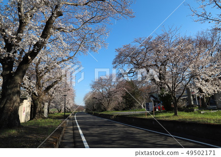 Tsukuba Kasumigaura Rinrin Road，Amahi Rest Office 49502171