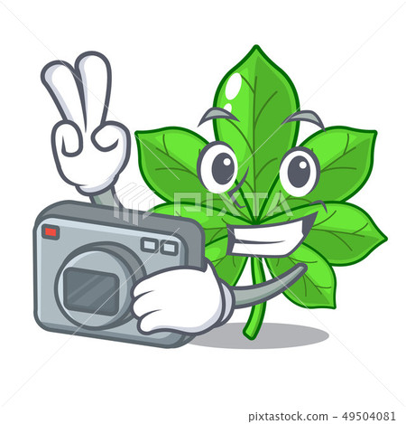 Photographer horse chestnuts in the mascot stem 49504081