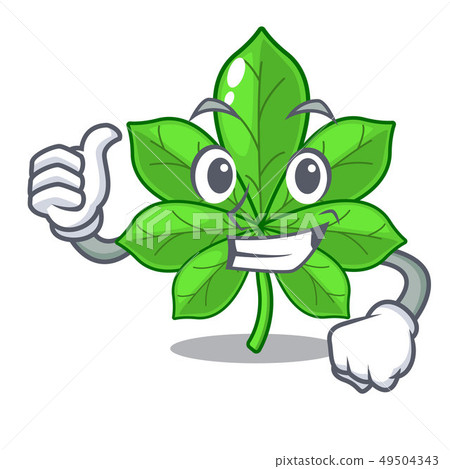 Thumbs up horse chestnuts in the character shape 49504343
