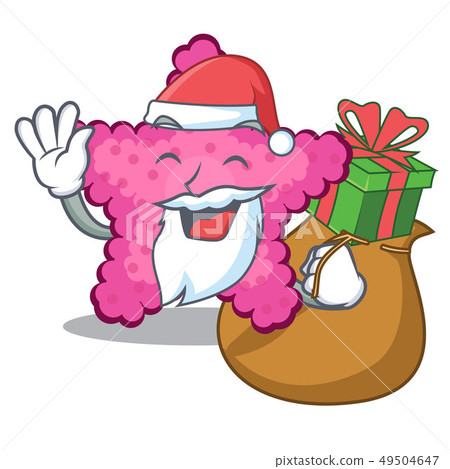 Santa with gift pink starfish animal on mascot sand Santa with gift pink starfish animal on mascot sand 49504647