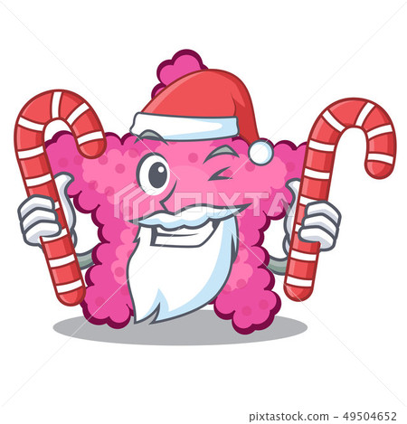 Santa with candy pink starfish animal on mascot sand 49504652