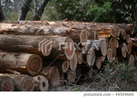 Cutting out thinning materials Cutting out thinning materials 49504660
