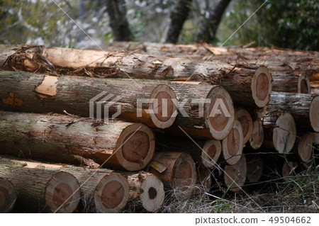 Cutting out thinning materials Cutting out thinning materials 49504662