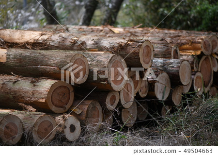 Cutting out thinning materials 49504663