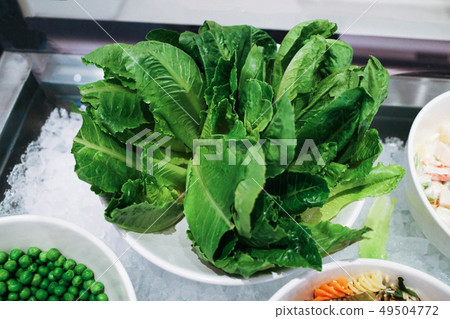 Fresh green Leaf Salad Vegan Food Fresh green Leaf Salad Vegan Food 49504772