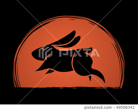 Rabbit jumping graphic vector Rabbit jumping graphic vector 49506342