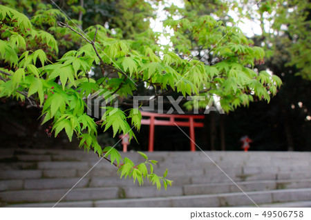 霧島Jingugu霧島市鹿兒島Ninigi Nomikoto 霧島Jingugu霧島市鹿兒島Ninigi Nomikoto 49506758