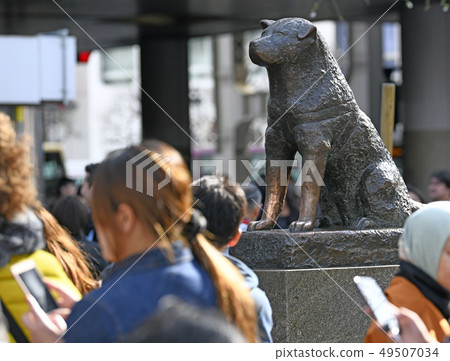 Tokyo cityscape in Japan Hachiko statue in front of Shibuya Station Tokyo cityscape in Japan Hachiko statue in front of Shibuya Station 49507034