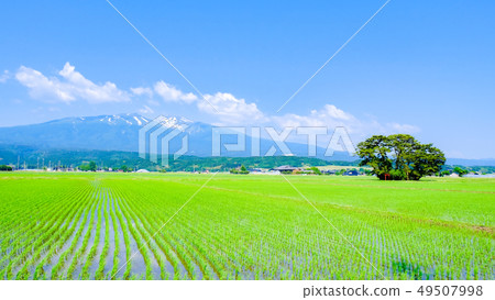 從Yusa看到的初夏的Chokai山 從Yusa看到的初夏的Chokai山 49507998