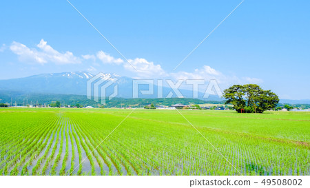 Mt. Chokai in early summer seen from Yusa Mt. Chokai in early summer seen from Yusa 49508002