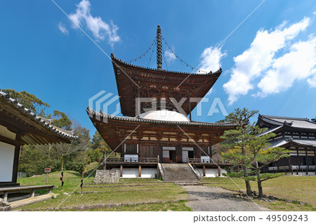 [Negoji Temple Pagoda]（高分辨率版本）和歌山縣岩手市Negoro 2286 49509243