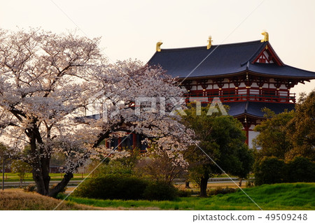 Daigokuden和櫻花的夜景 奈良市北國寺町 照片素材 圖片 圖庫