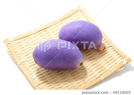 Akebbe可食的紫色果子白色背景 49510005