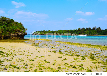Ishigakijima Kawahira Bay 49510409