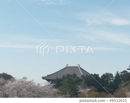 東大寺大Bodens 49512615