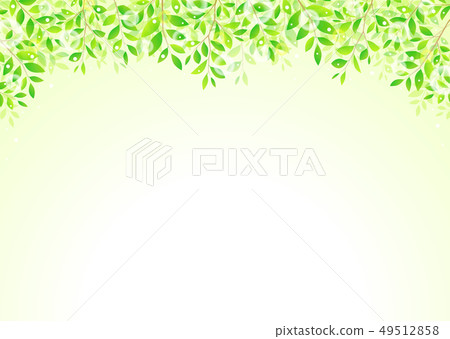 背景材料_樹枝若葉青葉鮮綠 49512858