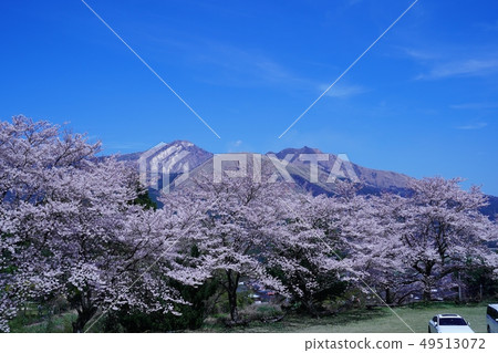 Spring scenery of Mount Aso seen from Kanon Sakura Park in Minamiaso Spring scenery of Mount Aso seen from Kanon Sakura Park in Minamiaso 49513072