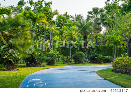 Footpath in Public Park 49513147