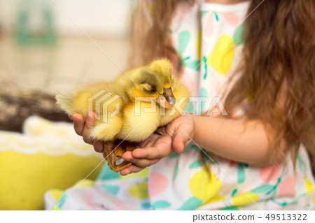happy little girl in a dress sits in a nest and happy little girl in a dress sits in a nest and 49513322