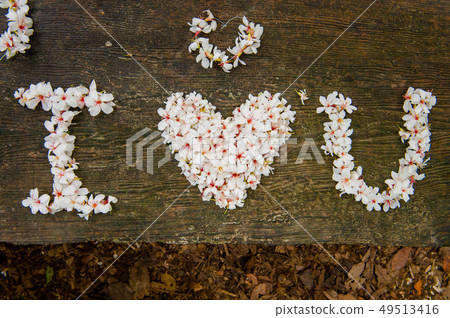 我愛你,白色油桐花, 五月雪, 客家桐花季,木油桐花 我愛你,白色油桐花, 五月雪, 客家桐花季,木油桐花 49513416