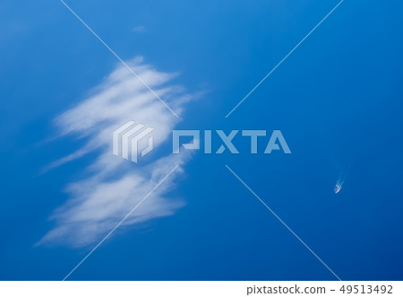 藍色的大海 49513492