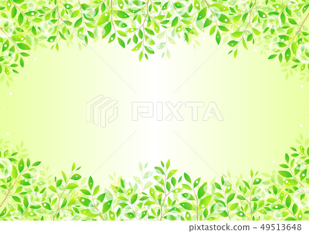 背景材料_木葉若葉青葉鮮綠 49513648