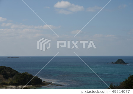 Tsunoshima的春天海岸 49514077