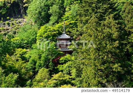 Kyoto: Spring Three Muroto-dera Triple Tower Kyoto: Spring Three Muroto-dera Triple Tower 49514179