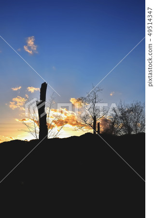 Hankyu Yamate台北公園日落 Hankyu Yamate台北公園日落 49514347