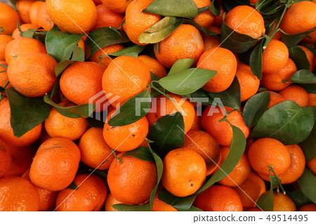 Public market in Guangdong Province Public market in Guangdong Province 49514495