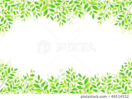 背景材料_木葉若葉青葉鮮綠 49514532