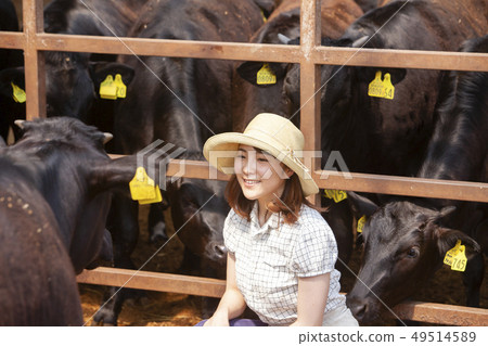 Women working in a cowshed 49514589