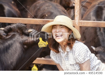 在牛棚里工作的婦女 49514590