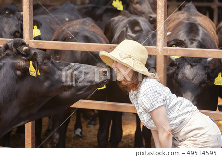 在牛棚里工作的婦女 49514595