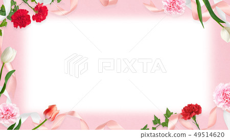Background-Carnation-Mother's Day-Pink-Frame 49514620