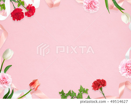 Background-Carnation-Mother's Day-Pink-Frame Background-Carnation-Mother's Day-Pink-Frame 49514627