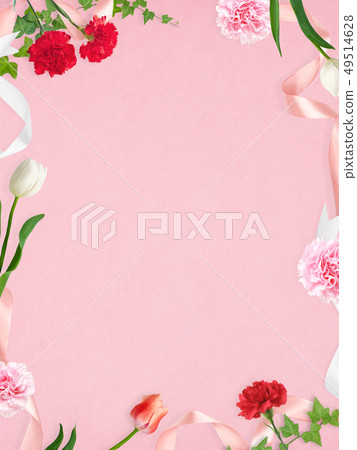 Background-Carnation-Mother's Day-Pink-Frame 49514628