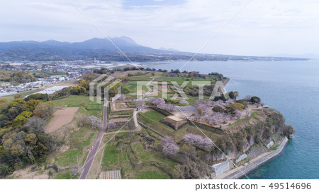 原始城堡破壞鳥瞰圖春天櫻花 原始城堡破壞鳥瞰圖春天櫻花 49514696