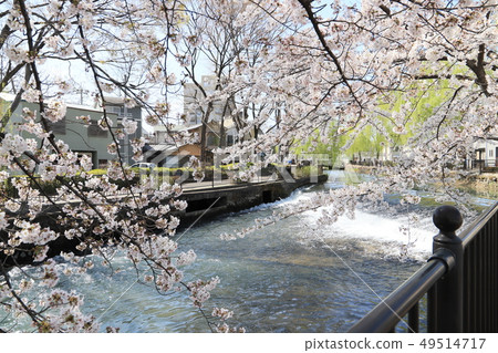 Hirose River 49514717