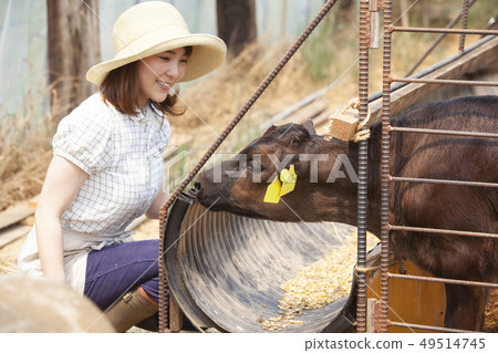 Livestock women 49514745
