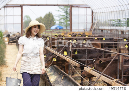 畜牧婦女 畜牧婦女 49514758