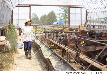 Livestock women 49514765
