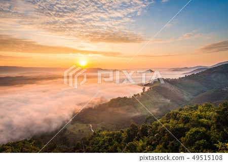 Sunrise and the mist in winter morning 49515108
