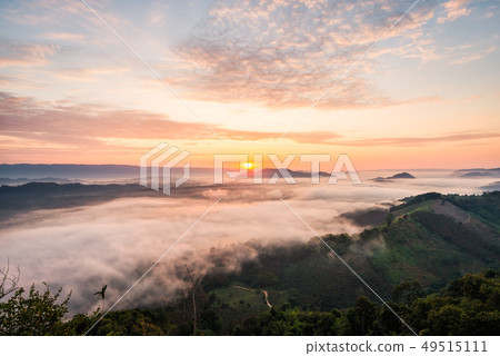 Sunrise and the mist in winter morning 49515111
