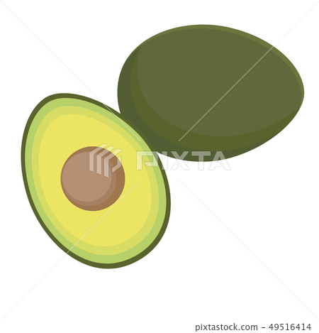 Illustration Cut Avocado Fruit In Half Stock Illustration