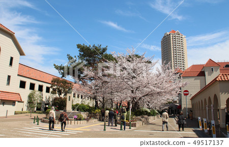 Takarazuka Flower Road 49517137