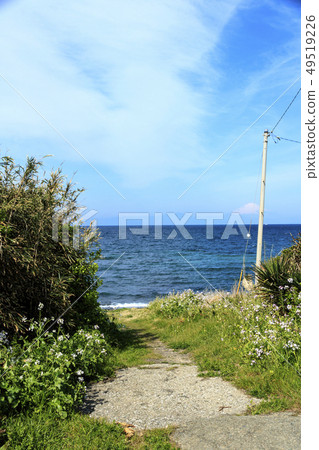 Mito beach 49519226