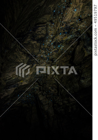 Bioluminiscent Glow Worms shining in Abbey Caves, Northland, North Island, New Zealand Bioluminiscent Glow Worms shining in Abbey Caves, Northland, North Island, New Zealand 49519797